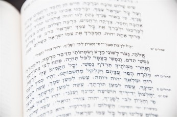 עליה לתורה - בר המצווה של עידן